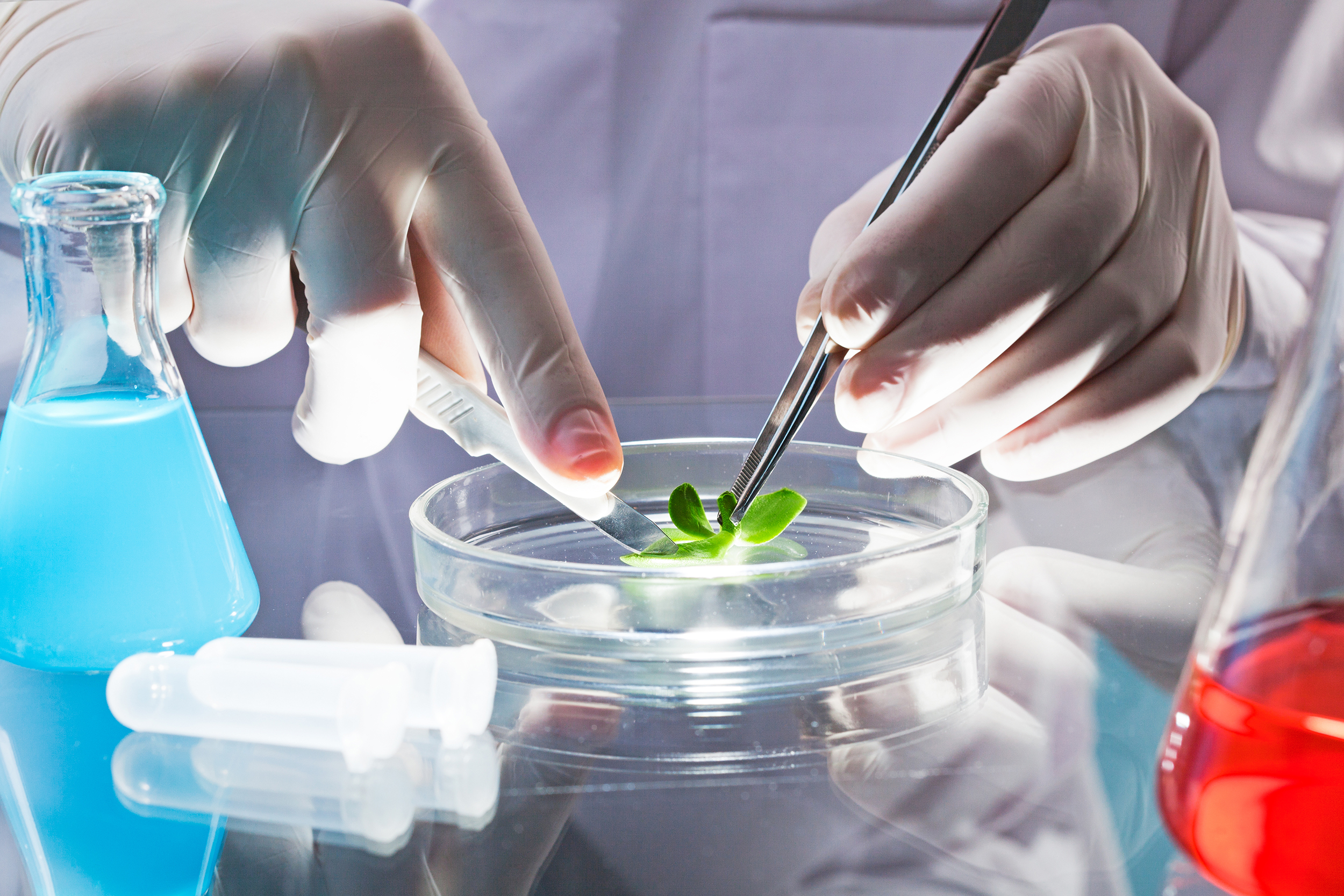 Laboratoire